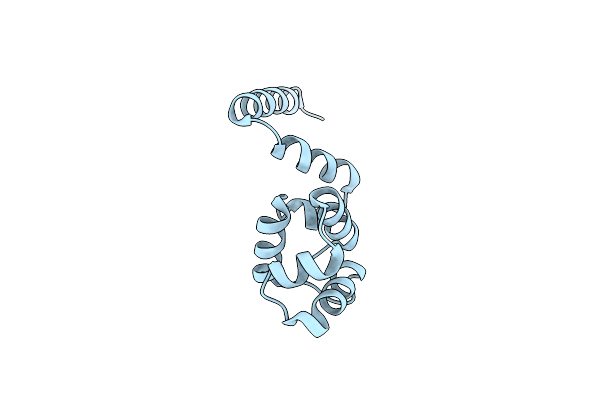 4O8B image