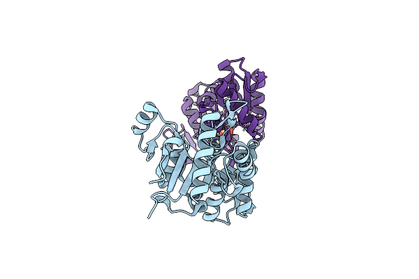 4O8C image