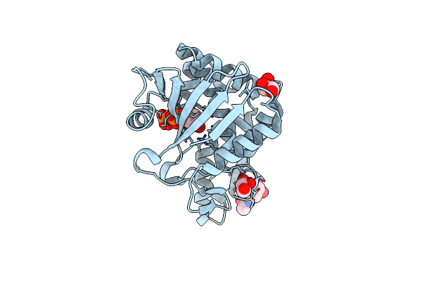 4O8E image