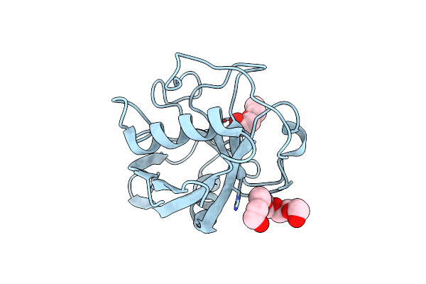4O8H image