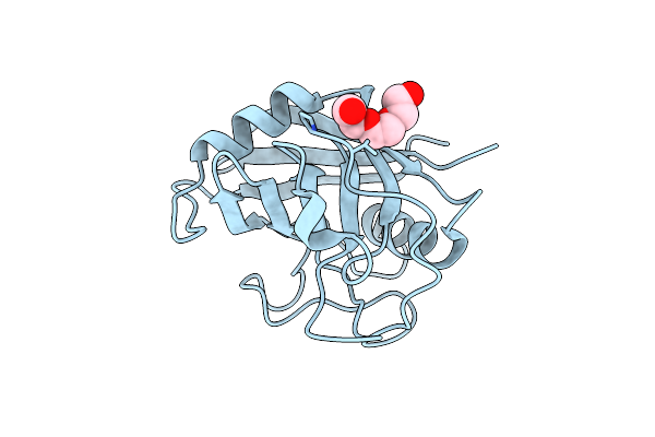 4O8I image