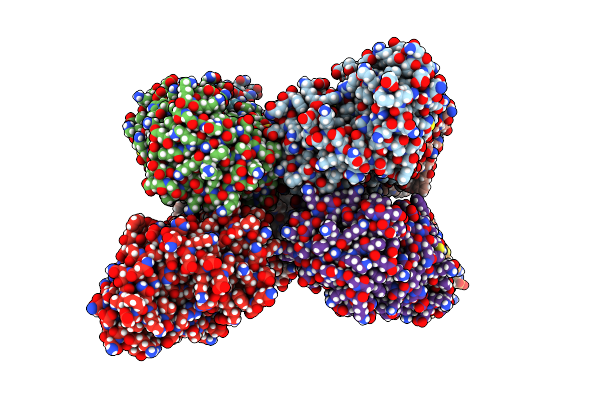 4O8M image