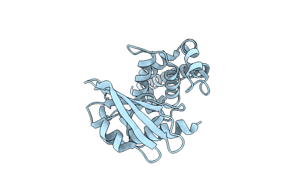 4O8S image