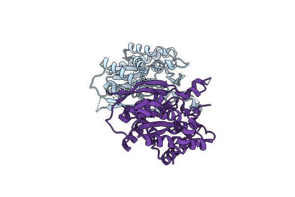 4O8V image