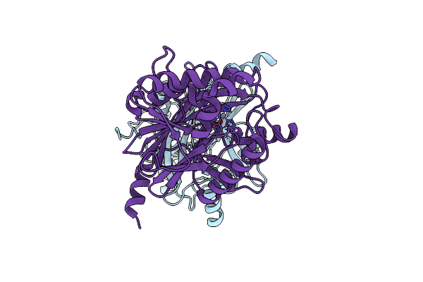 4O98 image