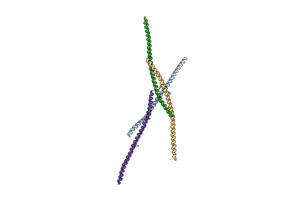 4O9B image