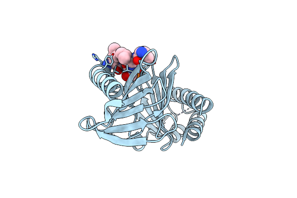 4O9W image