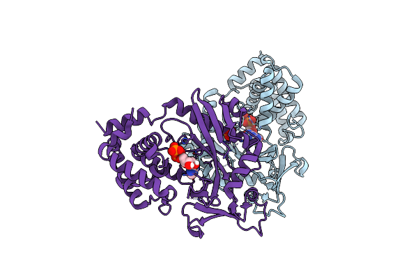 4OAG image