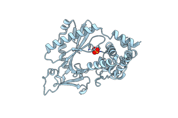 4OAI image