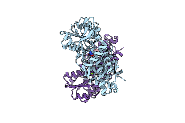 4OAT image