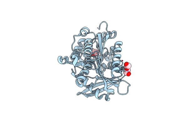 4OB8 image