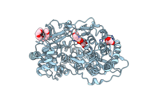 4OBC image