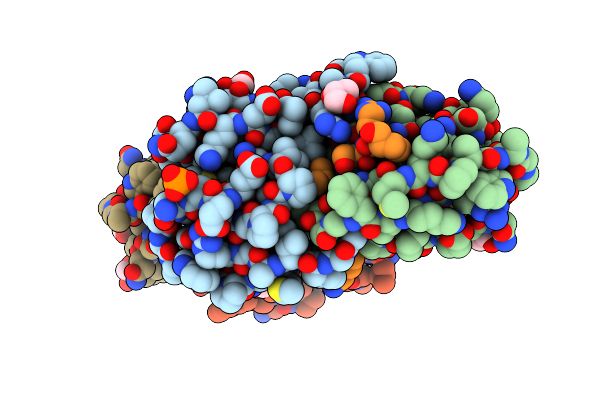 4OBG image
