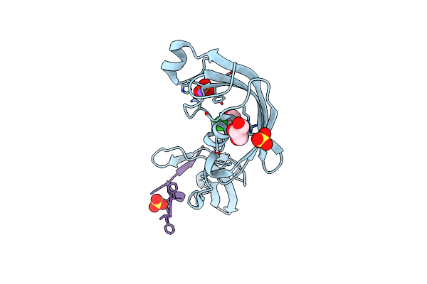 4ODN image