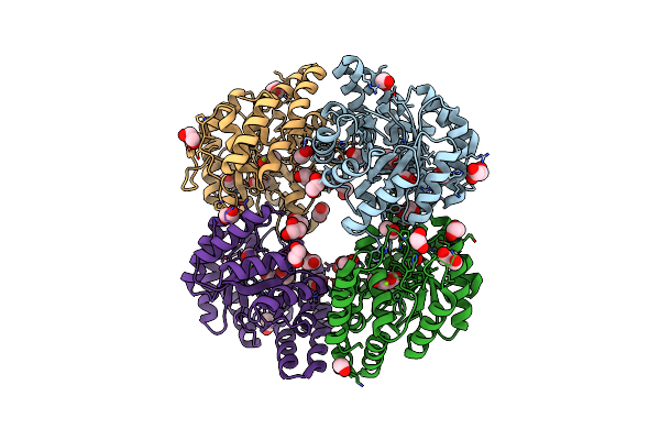 4OE7 image