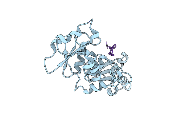4OFB image
