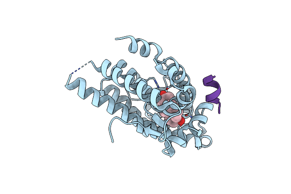 4OFR image