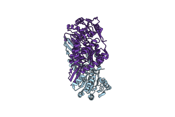4OGD image