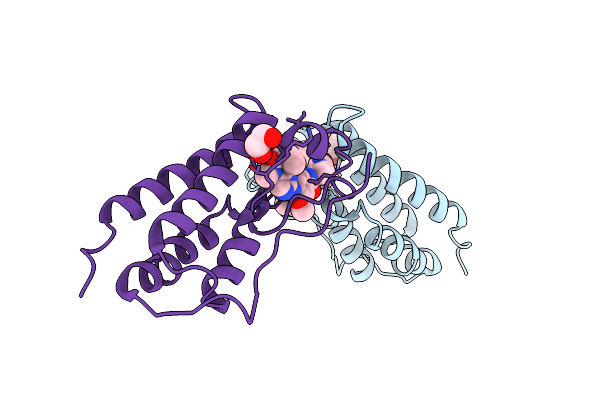 4OGI image