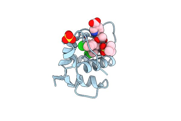 4OGT image