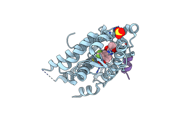 4OHA image