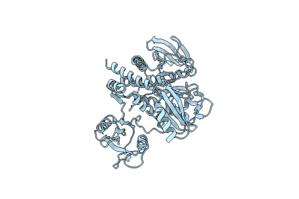 4OHD image
