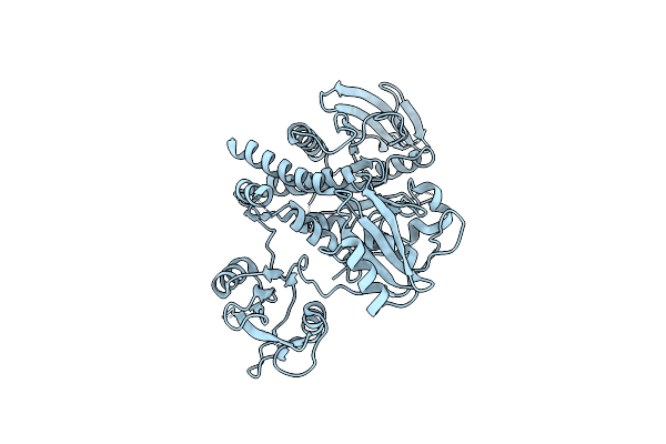 4OHE image