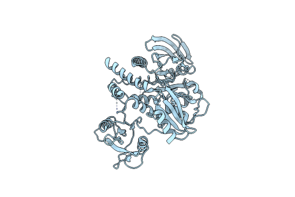 4OHI image