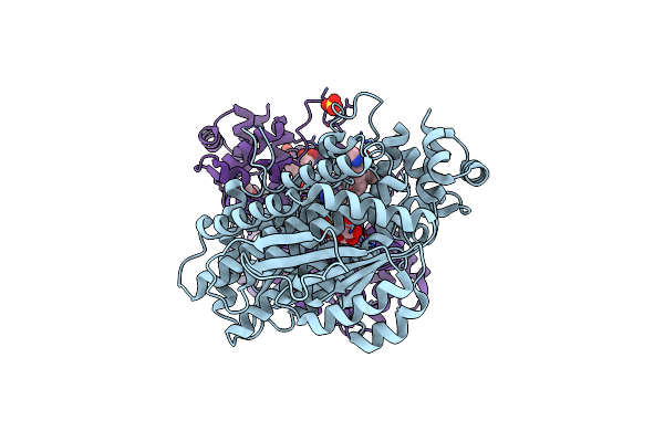 4OHP image