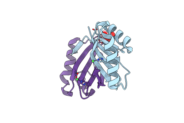 4OI6 image