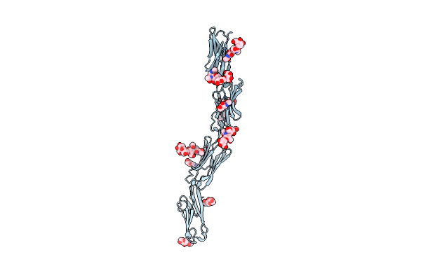 4OIB image