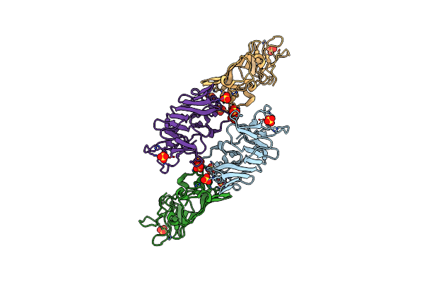 4OIG image