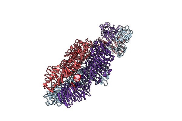 4OJO image