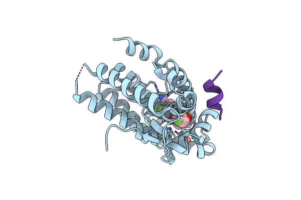 4OKB image