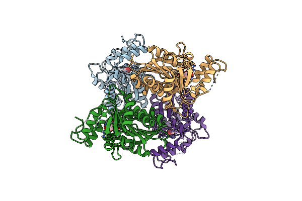 4OKO image
