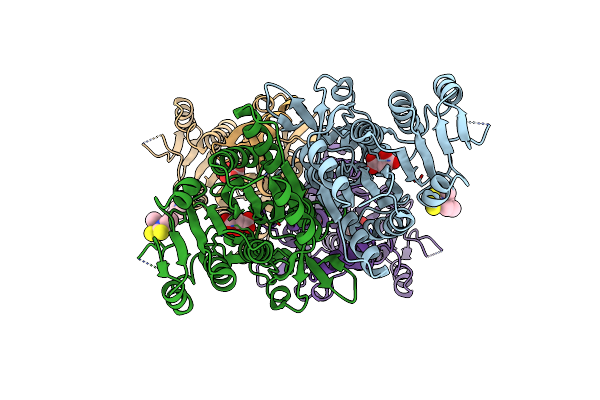 4OLC image