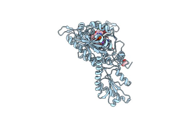4OLF image