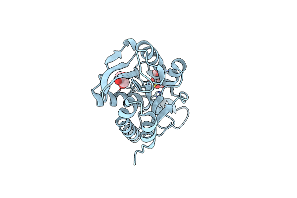 4OLJ image