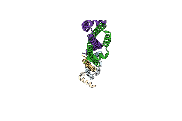 4OM2 image