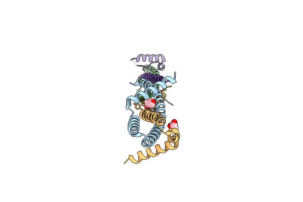 4OM3 image
