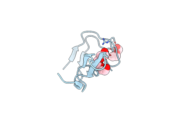 4OMP image