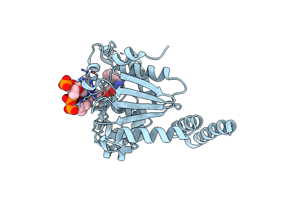 4OMR image