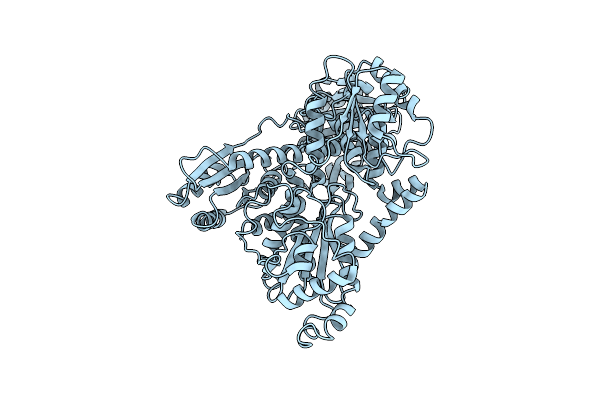 4OMT image