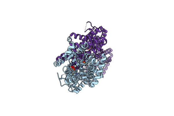 4ON9 image