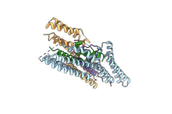 4ONS image