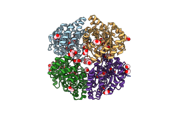4ONV image