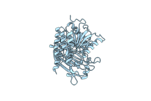 4OO3 image