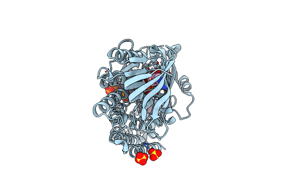 4OPG image