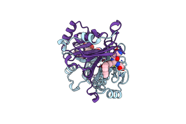 4OPN image