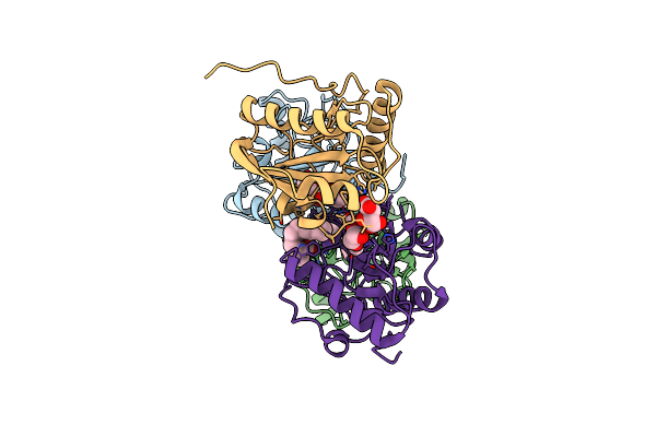 4OPP image